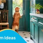 Mudroom ideas featuring teal built-in cabinets, wall hooks, a wooden chair, and a dog standing by the front door.
