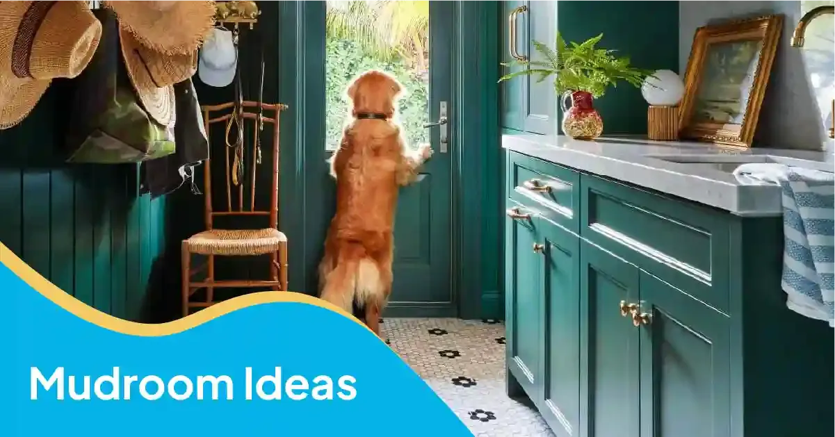 Mudroom ideas featuring teal built-in cabinets, wall hooks, a wooden chair, and a dog standing by the front door.